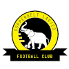 Copper Belts FC (w)