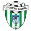 FC Sparta Brno